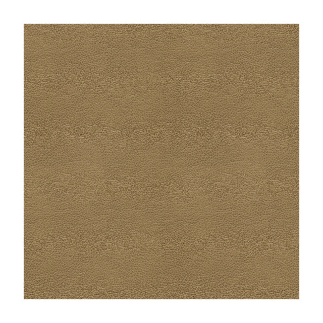 KRAVET SMART ALINA.106.0 KRAVET SMART ALINA-106 Fabric - Eade's Wallpaper