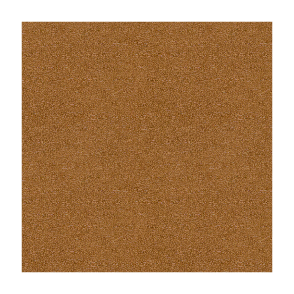 KRAVET SMART ALINA.16.0 KRAVET SMART ALINA-16 Fabric - Eade's Wallpaper