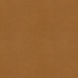 KRAVET SMART ALINA.16.0 KRAVET SMART ALINA-16 Fabric - Eade's Wallpaper