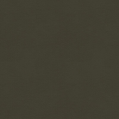 KRAVET SMART ALINA.21.0 KRAVET SMART ALINA-21 Fabric - Eade's Wallpaper