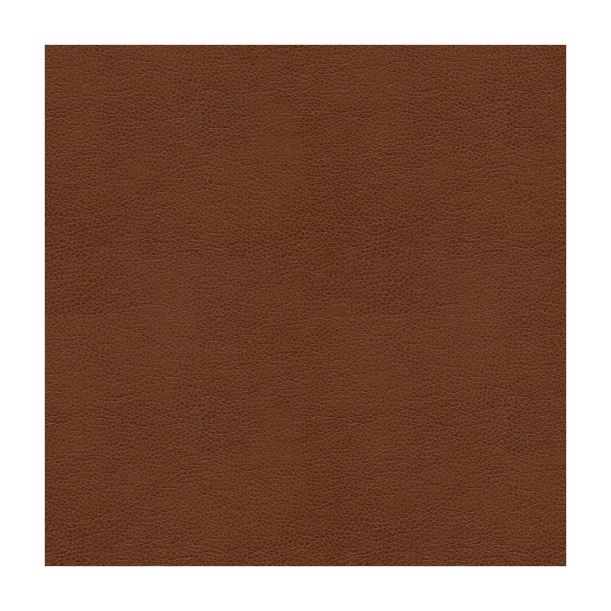 KRAVET SMART ALINA.6.0 KRAVET SMART ALINA-6 Fabric - Eade's Wallpaper