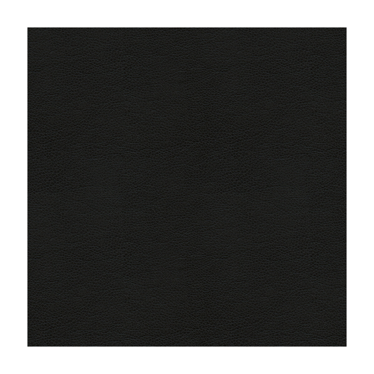 KRAVET SMART ALINA.8.0 KRAVET SMART ALINA-8 Fabric - Eade's Wallpaper