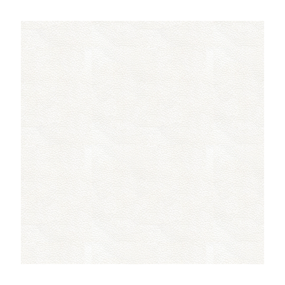 KRAVET DESIGN ALI.101.0 KRAVET DESIGN ALI-101 Fabric - Eade's Wallpaper