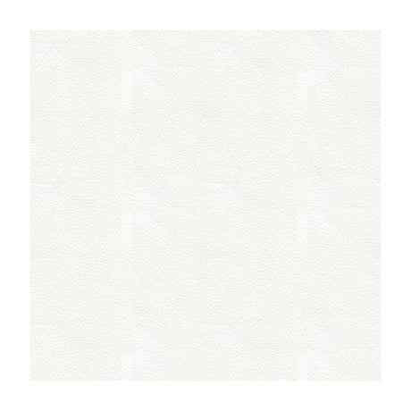 KRAVET DESIGN ALI.101.0 KRAVET DESIGN ALI-101 Fabric - Eade's Wallpaper