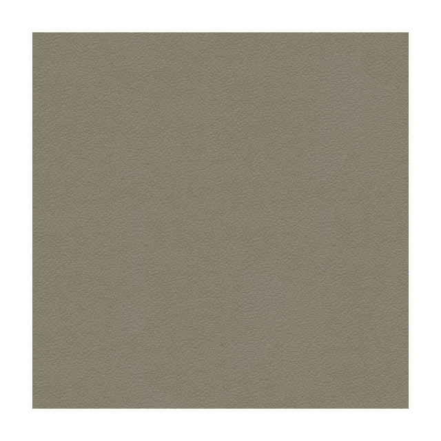KRAVET DESIGN ALI.11.0 KRAVET DESIGN ALI-11 Fabric - Eade's Wallpaper
