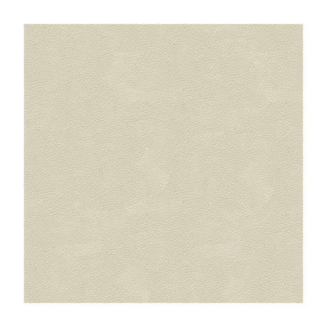 KRAVET DESIGN ALI.111.0 KRAVET DESIGN ALI-111 Fabric - Eade's Wallpaper