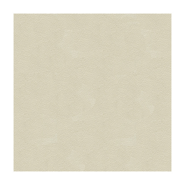 KRAVET DESIGN ALI.111.0 KRAVET DESIGN ALI-111 Fabric - Eade's Wallpaper