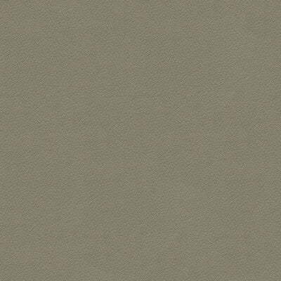 KRAVET DESIGN ALI.11.0 KRAVET DESIGN ALI-11 Fabric - Eade's Wallpaper