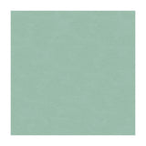 KRAVET DESIGN ALI.15.0 KRAVET DESIGN ALI-15 Fabric - Eade's Wallpaper