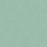 KRAVET DESIGN ALI.15.0 KRAVET DESIGN ALI-15 Fabric - Eade's Wallpaper