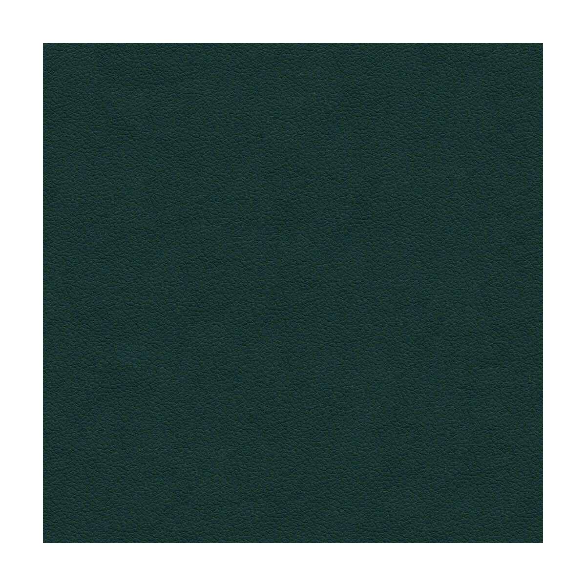 KRAVET DESIGN ALI.53.0 KRAVET DESIGN ALI-53 Fabric - Eade's Wallpaper