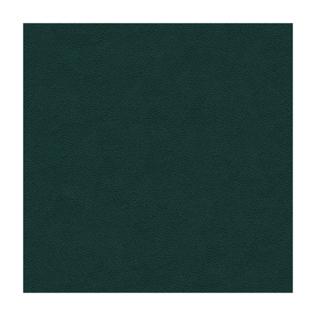 KRAVET DESIGN ALI.53.0 KRAVET DESIGN ALI-53 Fabric - Eade's Wallpaper