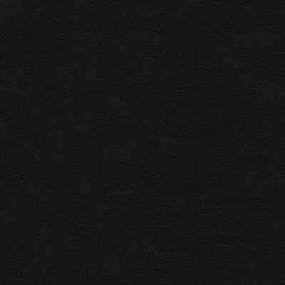 KRAVET DESIGN ALI.8.0 KRAVET DESIGN ALI-8 Fabric - Eade's Wallpaper