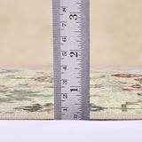 Amer Rugs ALU-8 Allure Classic Oriental Area Rug