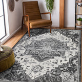 Amer Rugs ALX-88 Alexandria Classic Medallion /Gray Area Rug