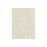 KRAVET COUTURE AM100083.16.0 TWINE STRING Fabric - Eade's Wallpaper