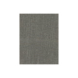 KRAVET COUTURE AM100123.21.0 TECHNO PLATINUM Fabric - Eade's Wallpaper