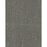 KRAVET COUTURE AM100123.21.0 TECHNO PLATINUM Fabric - Eade's Wallpaper