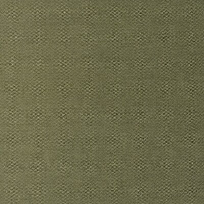 KRAVET COUTURE BOMORE AM100243.30.0 in PRIMAVERA Fabric - AN
