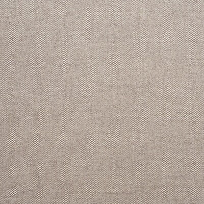 KRAVET COUTURE PARAGGI AM100299.166.0 in GRANITA Fabric - AN