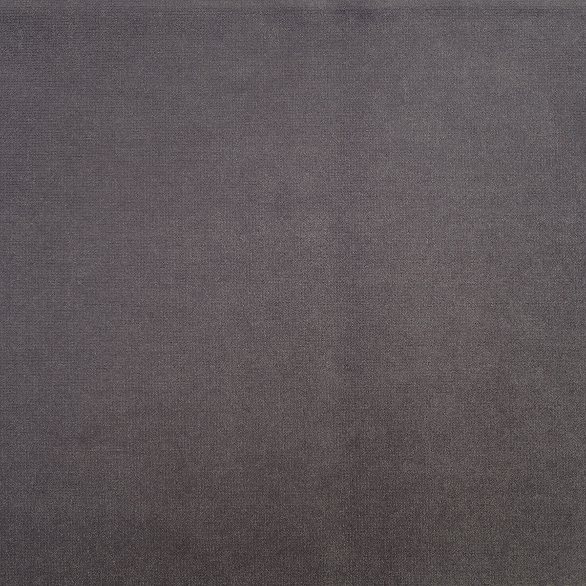 KRAVET COUTURE AM100325.21.0 VILLANDRY PEREGRINE Fabric - Eade's Wallpaper