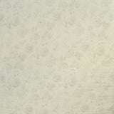 KRAVET COUTURE AM100336.1.0 NARIKALA CLOUD Fabric - Eade's Wallpaper