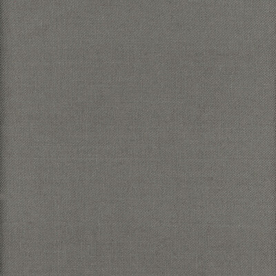 KRAVET COUTURE AM100346.21.0 BEAGLE TURTLE Fabric - Eade's Wallpaper