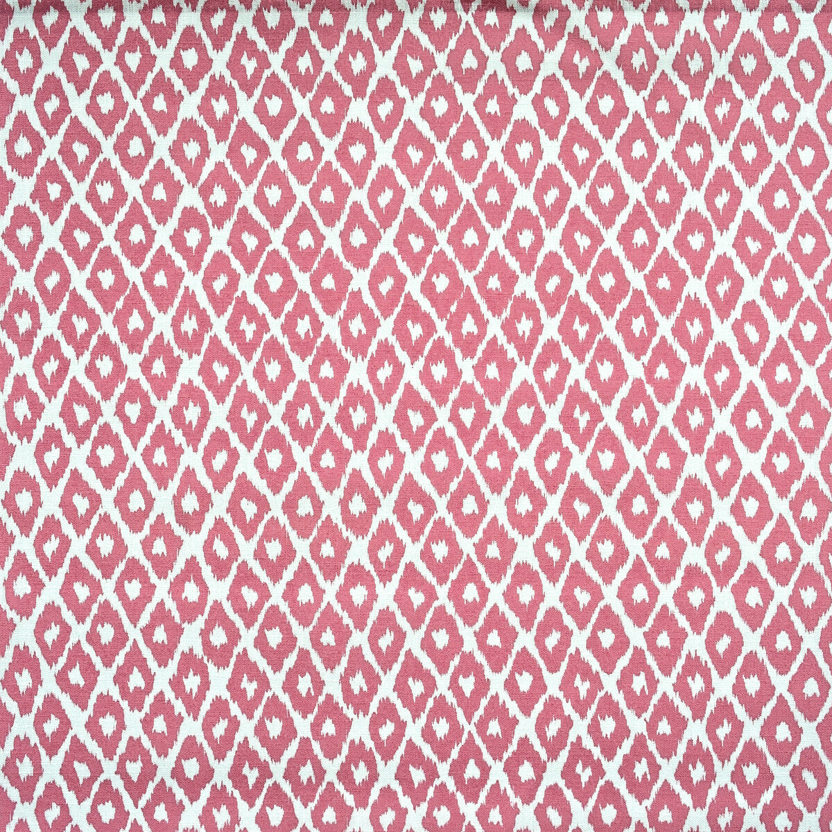 KRAVET COUTURE AM100349.17.0 GYPSUM OUTDOOR TROPIC Fabric - Eade's Wallpaper
