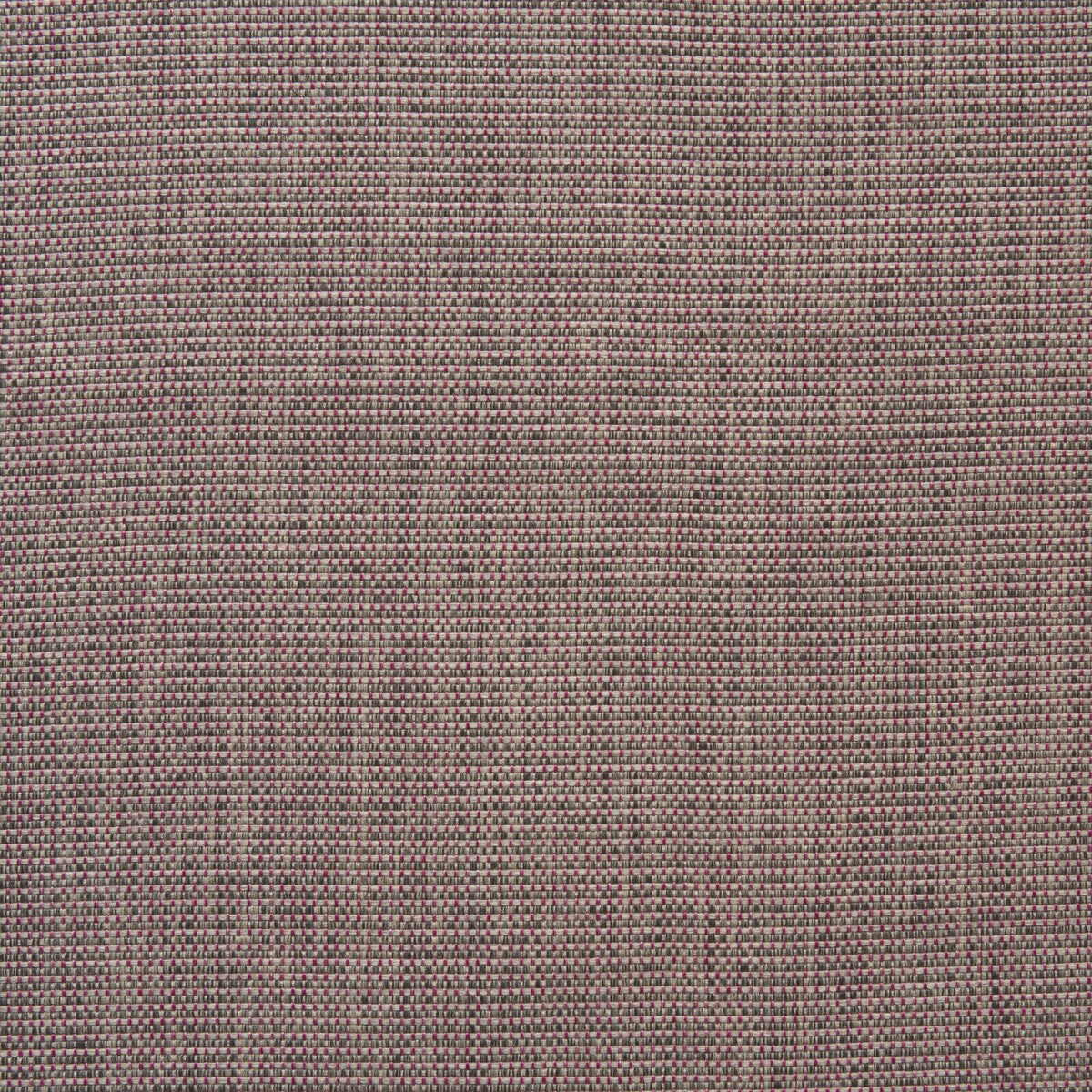 KRAVET COUTURE AM100365.619.0 BARRINGTON PARADISE Fabric - Eade's Wallpaper