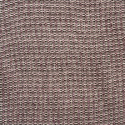 KRAVET COUTURE AM100365.619.0 BARRINGTON PARADISE Fabric - Eade's Wallpaper