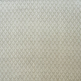 KRAVET COUTURE AM100379.106.0 BUD STONE Fabric - Eade's Wallpaper