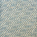KRAVET COUTURE AM100379.15.0 BUD SKY Fabric - Eade's Wallpaper