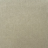 KRAVET COUTURE AM100383.106.0 POLLEN STONE Fabric - Eade's Wallpaper
