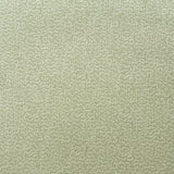 KRAVET COUTURE AM100383.123.0 POLLEN FENNEL Fabric - Eade's Wallpaper
