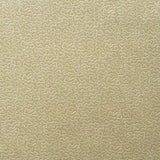 KRAVET COUTURE AM100383.416.0 POLLEN HONEY Fabric - Eade's Wallpaper