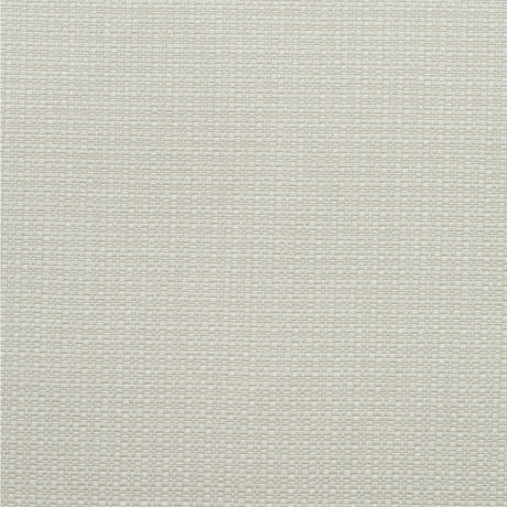 KRAVET COUTURE AM100390.1.0 BIRCH CHALK Fabric - Eade's Wallpaper