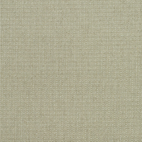KRAVET COUTURE AM100390.106.0 BIRCH STONE Fabric - Eade's Wallpaper