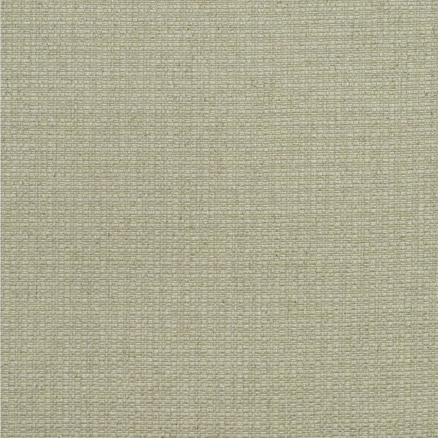 KRAVET COUTURE AM100390.106.0 BIRCH STONE Fabric - Eade's Wallpaper