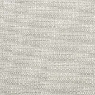 KRAVET COUTURE AM100390.1.0 BIRCH CHALK Fabric - Eade's Wallpaper