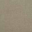 KRAVET COUTURE AM100390.624.0 BIRCH AUTUMN Fabric - Eade's Wallpaper
