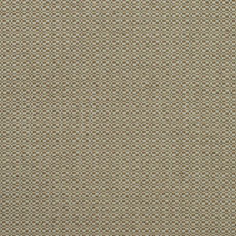 KRAVET COUTURE AM100390.624.0 BIRCH AUTUMN Fabric - Eade's Wallpaper