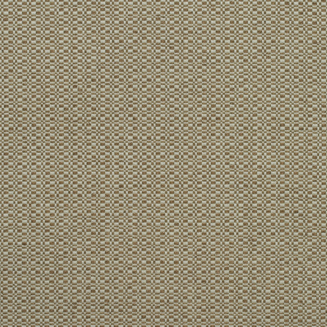 KRAVET COUTURE AM100390.624.0 BIRCH AUTUMN Fabric - Eade's Wallpaper