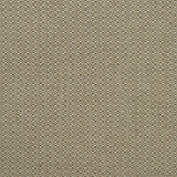 KRAVET COUTURE AM100390.624.0 BIRCH AUTUMN Fabric - Eade's Wallpaper
