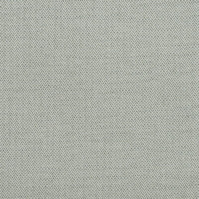 KRAVET COUTURE AM100391.1121.0 BIRDS FOOT STORM Fabric - Eade's Wallpaper