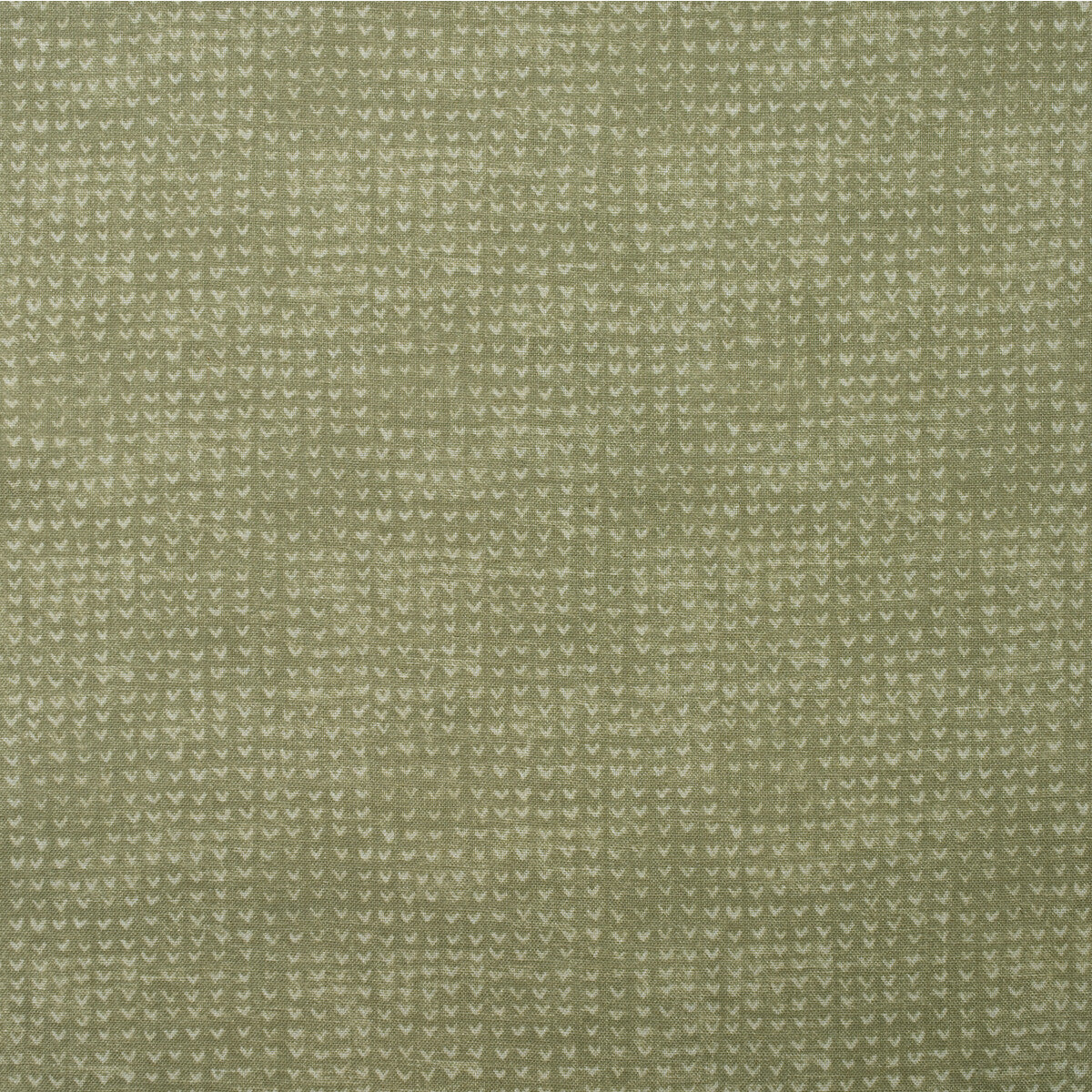 KRAVET COUTURE AM100393.3.0 FINCH LICHEN Fabric - Eade's Wallpaper