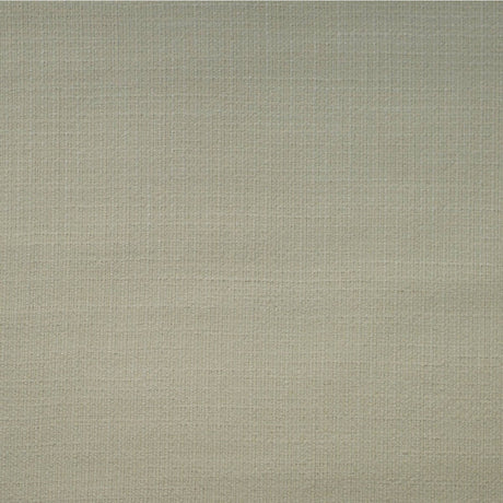 KRAVET COUTURE AM100396.1.0 HAZEL CHALK Fabric - Eade's Wallpaper