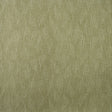 KRAVET COUTURE AM100398.3.0 NOBLE OAK LICHEN Fabric - Eade's Wallpaper