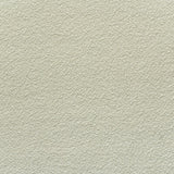 KRAVET COUTURE AM100426.1.0 ALLEGRA IVORY Fabric - Eade's Wallpaper