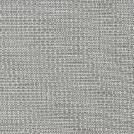 KRAVET COUTURE AM100436.121.0 TENDER STORM Fabric - Eade's Wallpaper