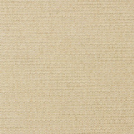 KRAVET COUTURE AM100436.16.0 TENDER ROPE Fabric - Eade's Wallpaper